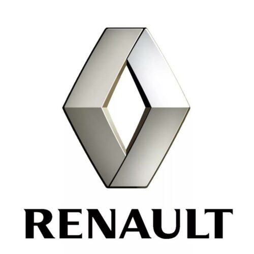 Плівка для захисту інтер’єру Renault 1