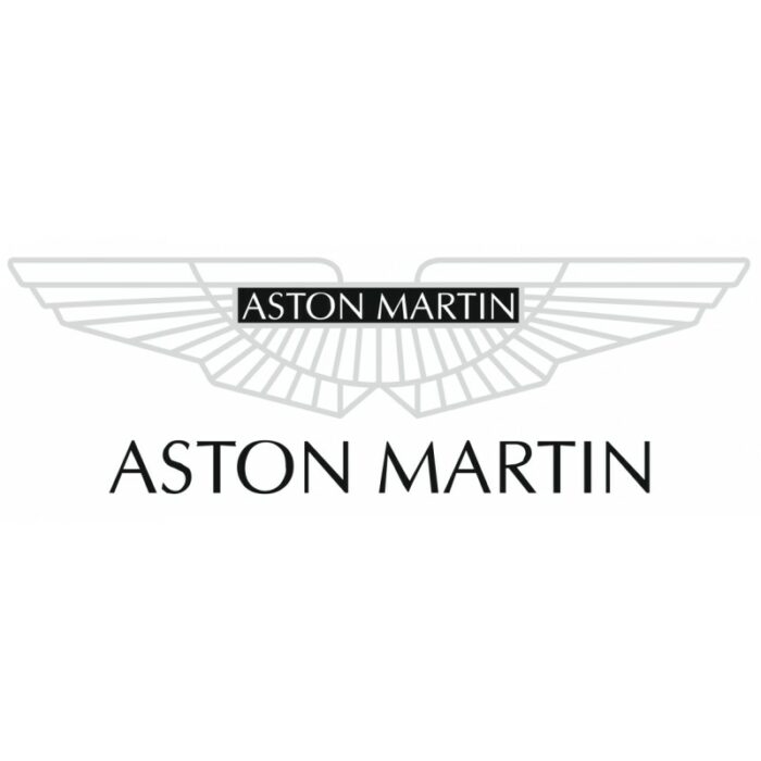 Плівка для захисту інтер’єру Aston Martin 1