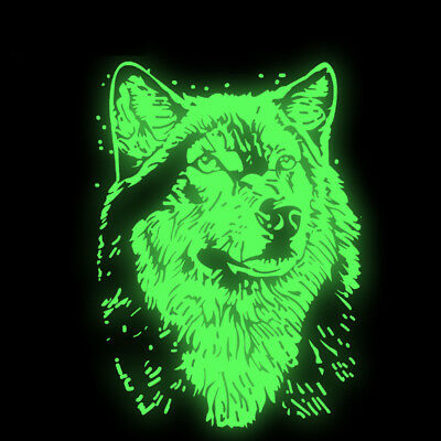 Термотрансферна плівка Witpac Glow in the Dark - 6500 1